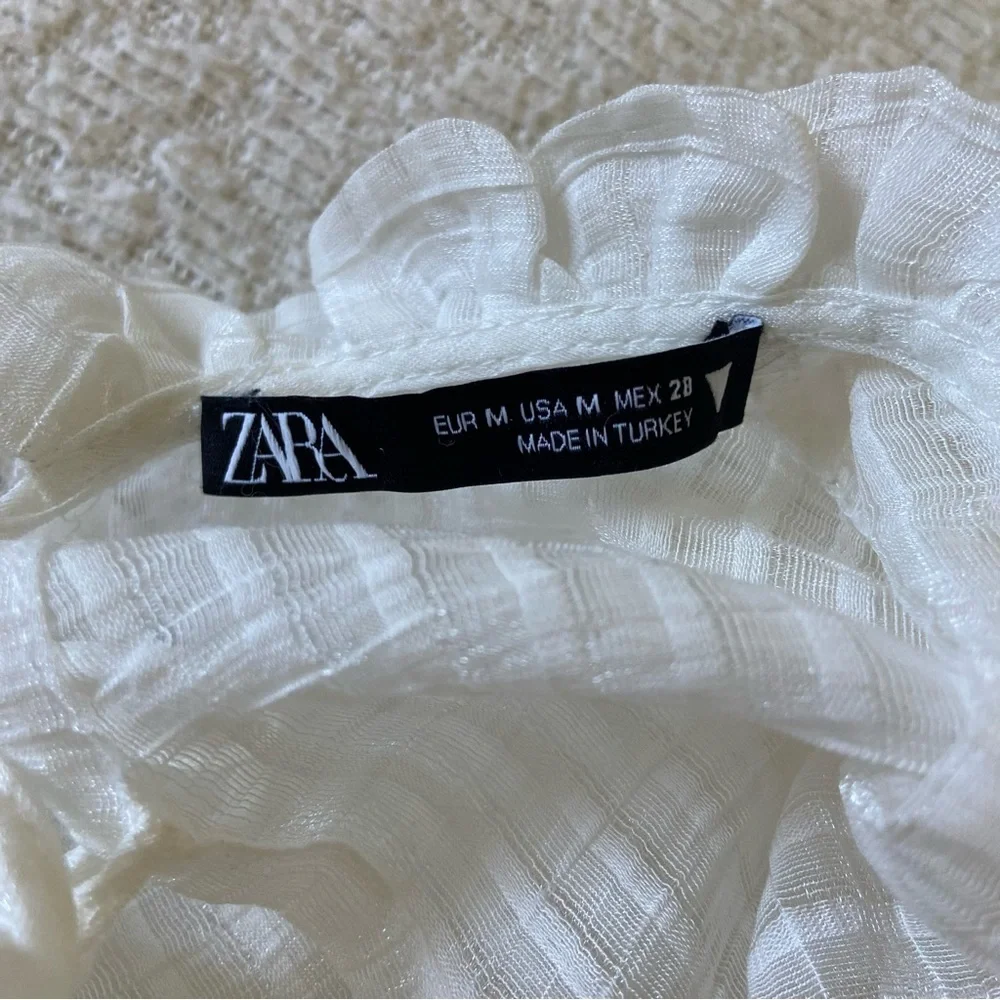 Zara Striped Ruffle Neck Organza Blouse